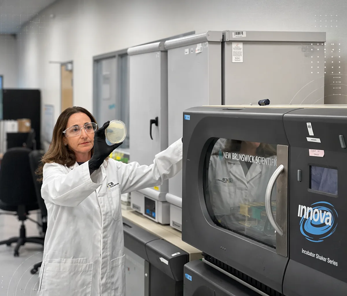 Laura Peiffer inspecting a plate at the Innova incubator.