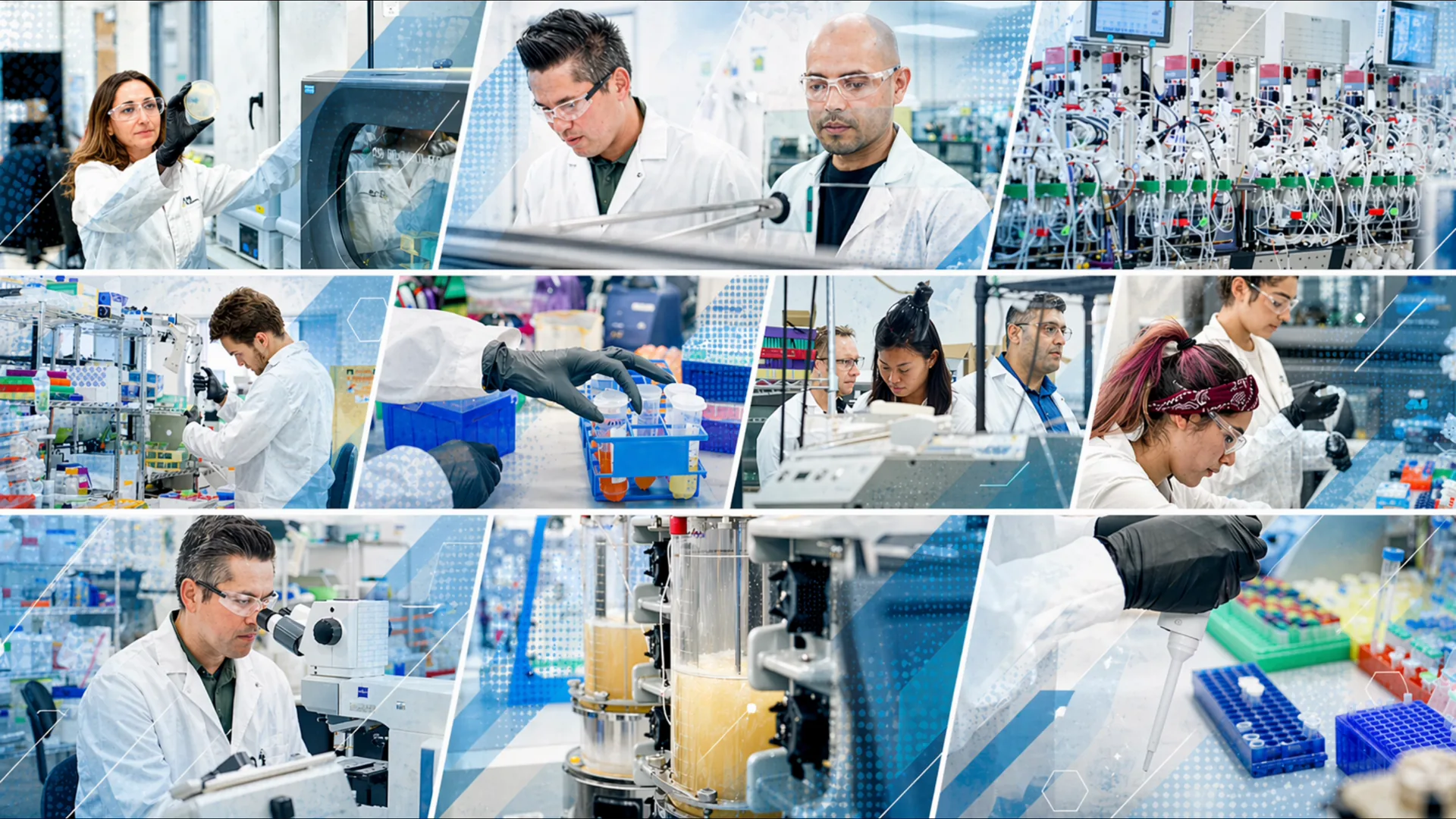 Nine-panel overview of the CBT lab, strain work, fermentation, and analytics in one view.